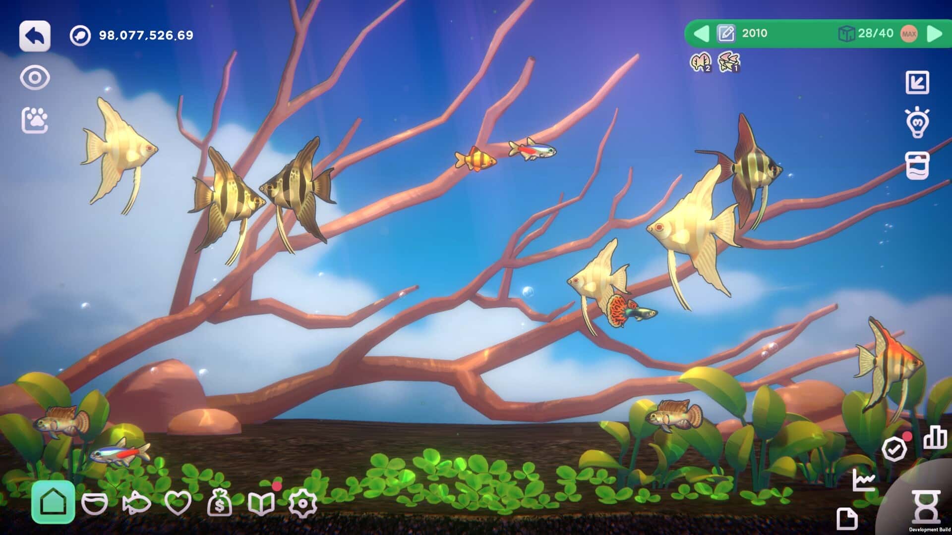 鱼我一起：水愈时光 With Me: Aquatic Time 中文版封面